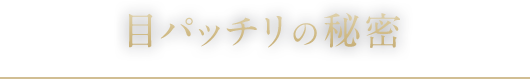 目パッチリの秘密