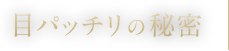 目パッチリの秘密