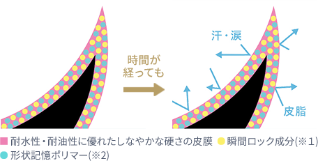 強力カールキープ 図説