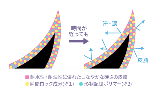 強力カールキープ 図説