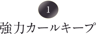 強力カールキープ